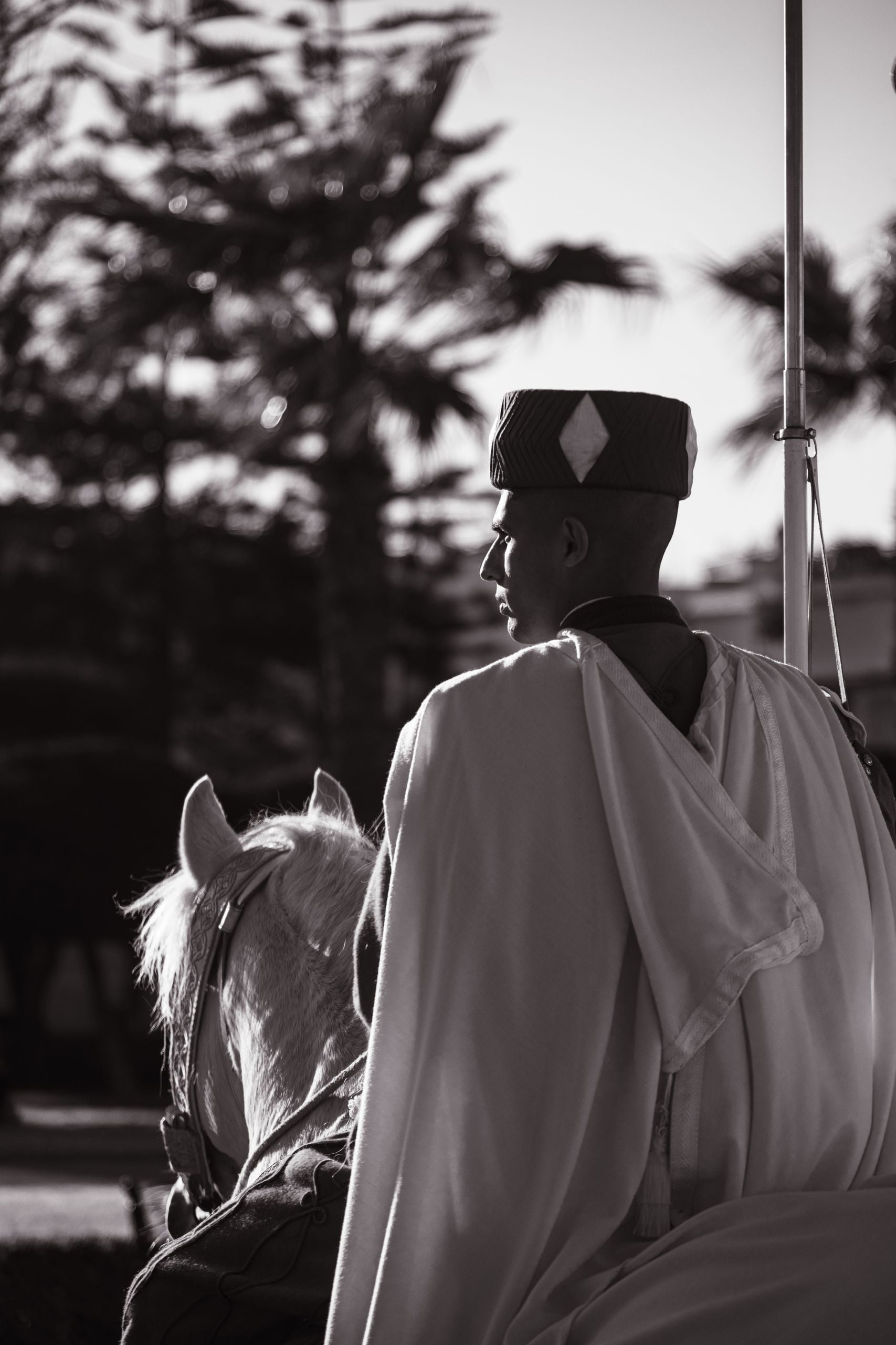 Black and white image of a formal guard riding a horse, exuding dignity and tradition.